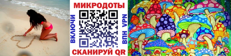 Псилоцибиновые грибы Cubensis  Михайлов 