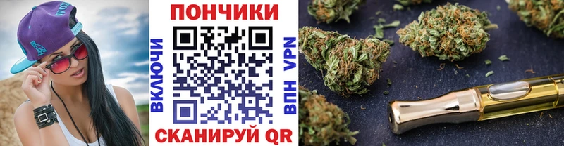 Бошки Шишки планчик  где найти   Михайлов 